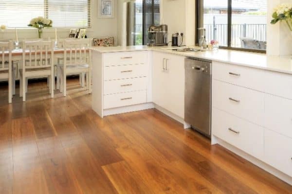Blackbutt7