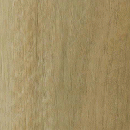 Nswspottedgum