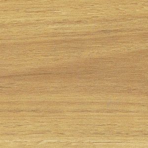 blackbutt